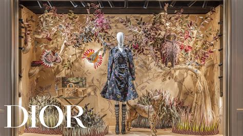 Dior windows 2023